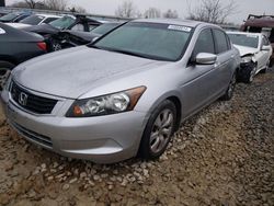 Honda salvage cars for sale: 2010 Honda Accord EXL