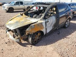 Salvage cars for sale at Phoenix, AZ auction: 2014 Hyundai Tucson GLS