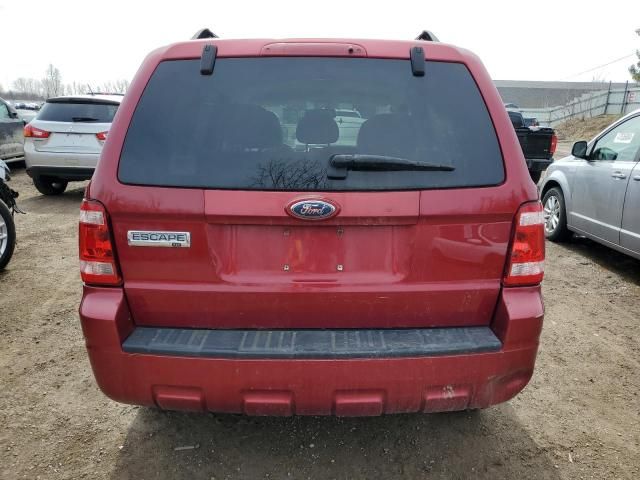 2008 Ford Escape XLT