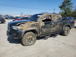 Salvage cars for sale at Lexington, KY auction: 2019 Toyota Tacoma Double Cab