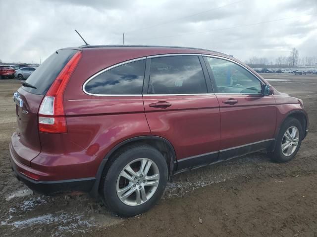 2010 Honda CR-V EXL