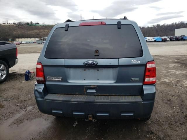 2010 Ford Escape XLT