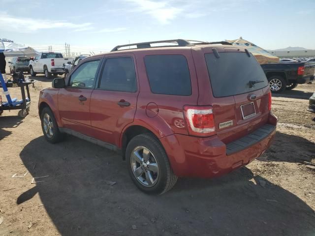 2010 Ford Escape XLT