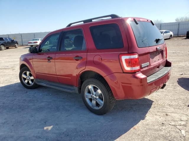 2010 Ford Escape XLT