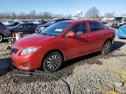 Toyota salvage cars for sale: 2009 Toyota Corolla Base