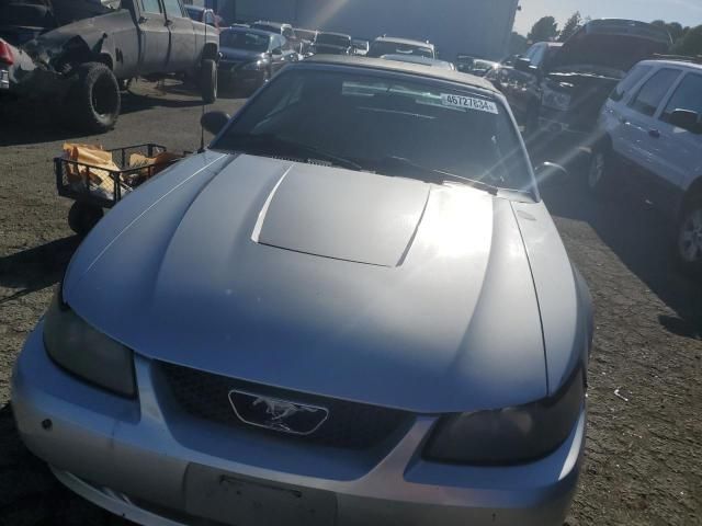 2004 Ford Mustang