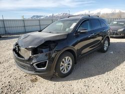 KIA Sorento LX salvage cars for sale: 2016 KIA Sorento LX