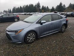 Salvage cars for sale at Graham, WA auction: 2022 Toyota Corolla LE