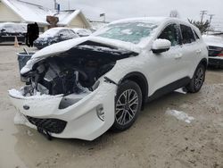 Salvage cars for sale at Northfield, OH auction: 2020 Ford Escape SEL