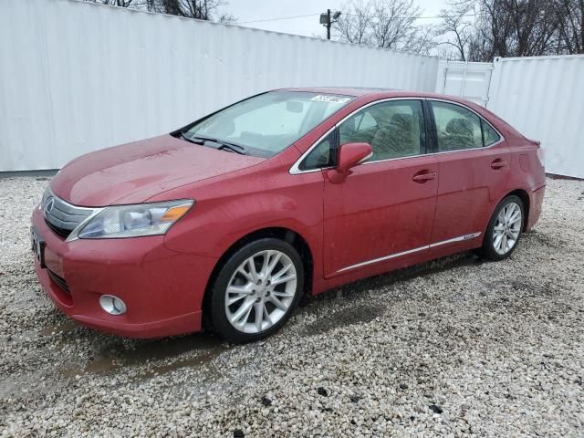 2010 Lexus HS 250H