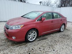 Salvage cars for sale at Baltimore, MD auction: 2010 Lexus HS 250H