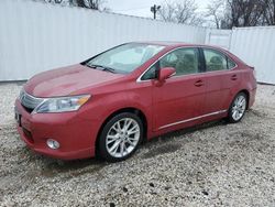 Lexus HS 250H salvage cars for sale: 2010 Lexus HS 250H