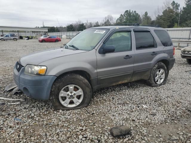 2007 Ford Escape XLT