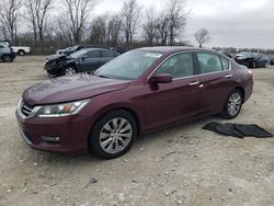 Salvage cars for sale at Cicero, IN auction: 2013 Honda Accord EXL