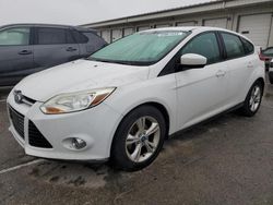 Ford Focus salvage cars for sale: 2012 Ford Focus SE