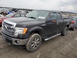 Salvage trucks for sale at Earlington, KY auction: 2013 Ford F150 Super Cab
