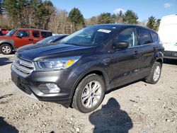 Salvage cars for sale from Copart Mendon, MA: 2019 Ford Escape SE