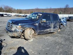 Ford salvage cars for sale: 2014 Ford F150 Supercrew