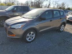 Salvage cars for sale at Bridgeton, MO auction: 2014 Ford Escape S