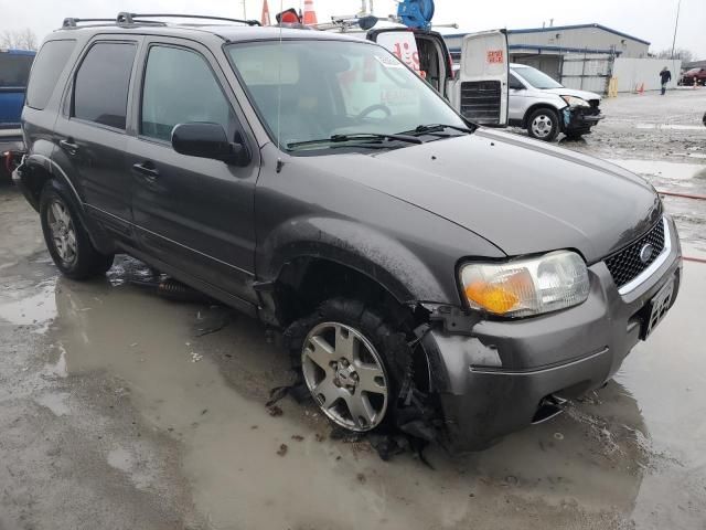 2003 Ford Escape Limited