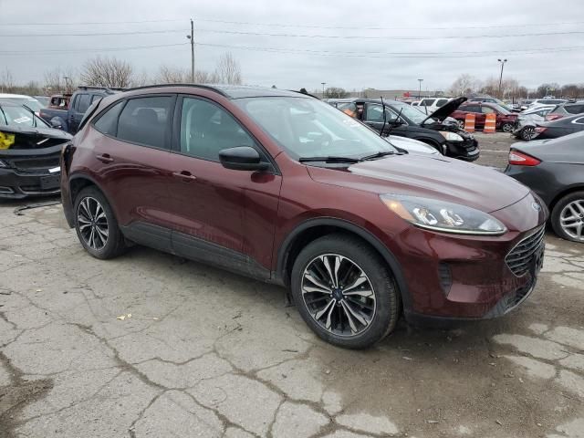 2021 Ford Escape SE