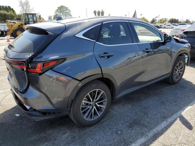 2024 Lexus NX 250 Base