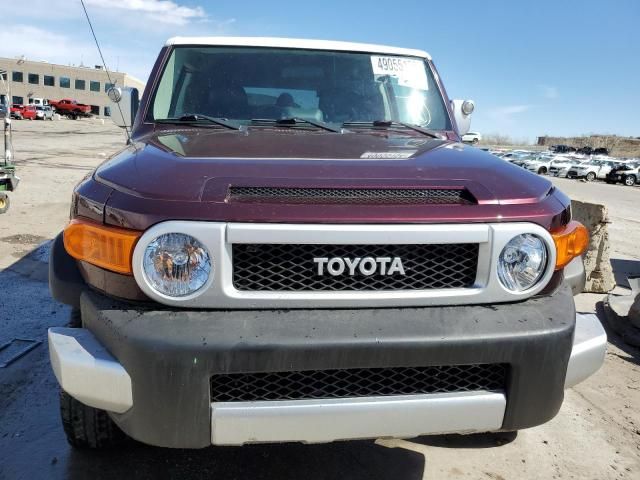 2007 Toyota FJ Cruiser