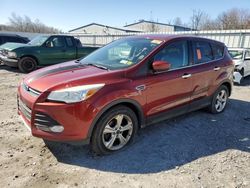 Ford Escape SE Vehiculos salvage en venta: 2014 Ford Escape SE