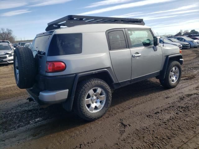 2010 Toyota FJ Cruiser