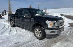 Salvage cars for sale from Copart Rocky View County, AB: 2018 Ford F150 Supercrew