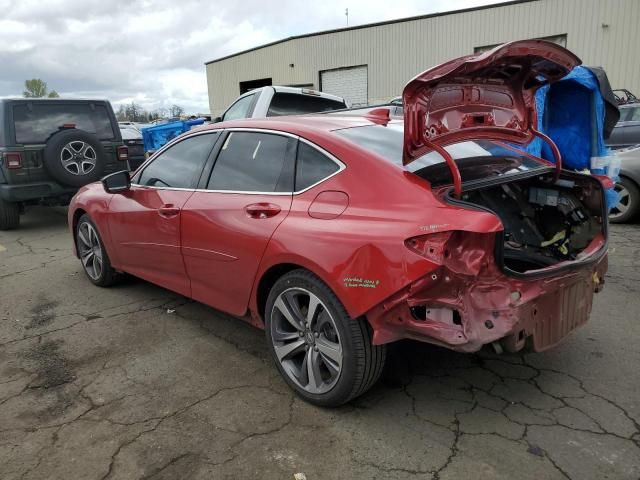 2021 Acura TLX Advance