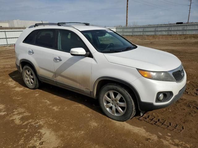 2011 KIA Sorento Base