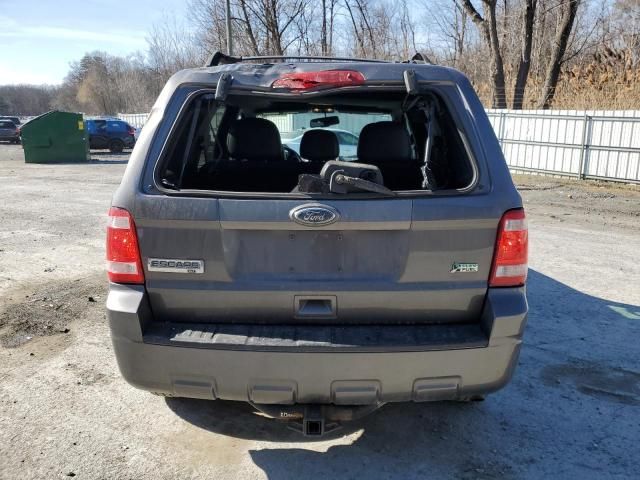 2010 Ford Escape XLT