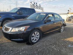 Salvage cars for sale from Copart Columbus, OH: 2010 Honda Accord EXL