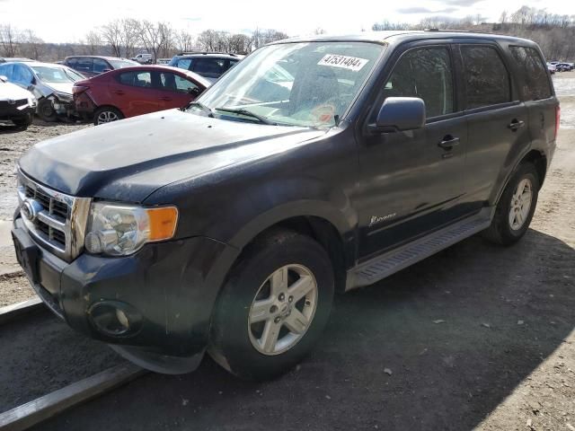 2011 Ford Escape Hybrid