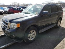 Salvage cars for sale at Marlboro, NY auction: 2011 Ford Escape Hybrid