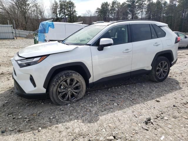 2024 Toyota Rav4 XLE Premium