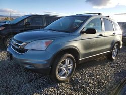 Honda CR-V EX salvage cars for sale: 2010 Honda CR-V EX