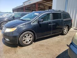 Salvage cars for sale from Copart Riverview, FL: 2012 Honda Odyssey EX
