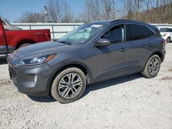 Salvage cars for sale at Hurricane, WV auction: 2021 Ford Escape SEL