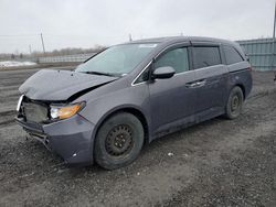 Salvage cars for sale at Ottawa, ON auction: 2015 Honda Odyssey EXL