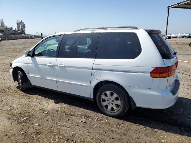 2004 Honda Odyssey EXL