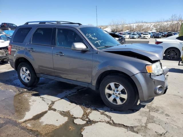 2011 Ford Escape Limited