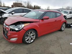 Salvage cars for sale at New Britain, CT auction: 2013 Hyundai Veloster