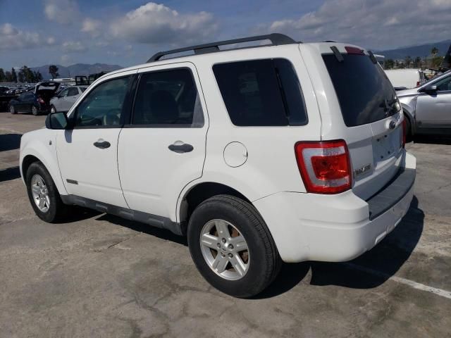 2008 Ford Escape HEV