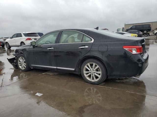 2010 Lexus ES 350