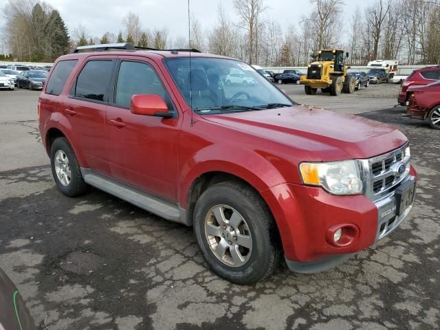 2011 Ford Escape Limited