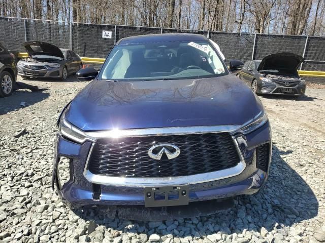 2024 Infiniti QX60 Pure