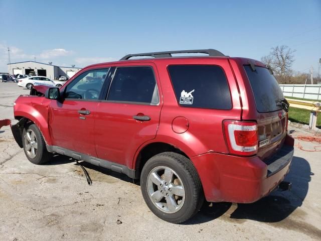 2012 Ford Escape XLT