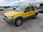 2002 Ford Escape XLT